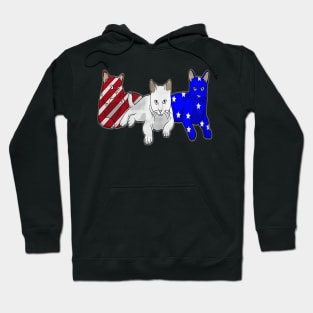 Cat Red White Blue American Flag 4th Of July Gift Hoodie